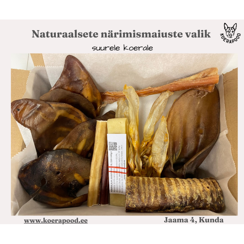 Naturaalsete närimismaiuste valik suurele koerale