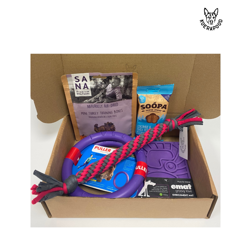 Kinkekomplekt koerale nr.4