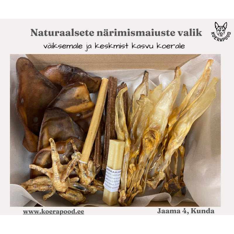 Naturaalsete närimismaiuste valik väiksemale ja keskmist kasvu koerale
