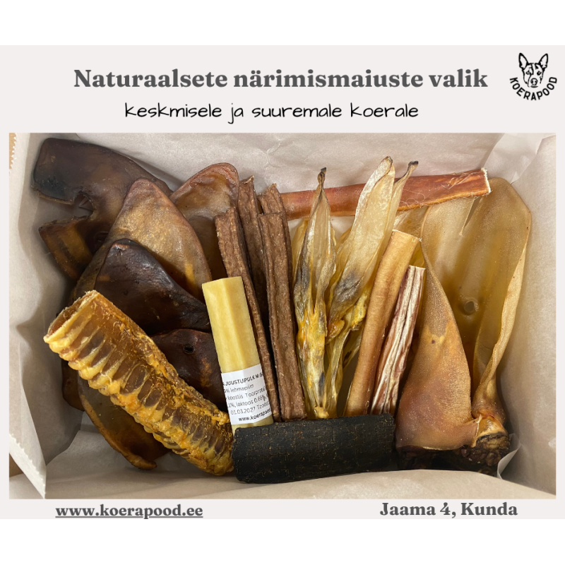 Naturaalsete närimismaiuste valik keskmisele ja suuremale koerale