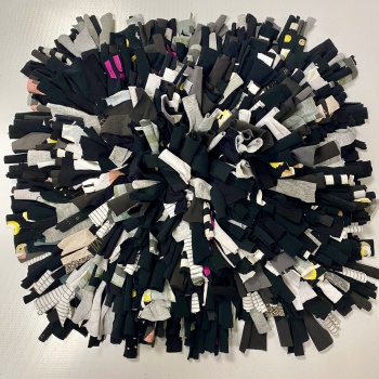 IMG_5502.jpeg IMG_5502.jpeg