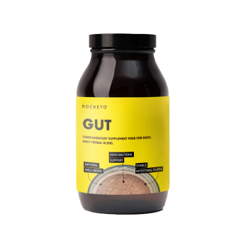 GUT_.png