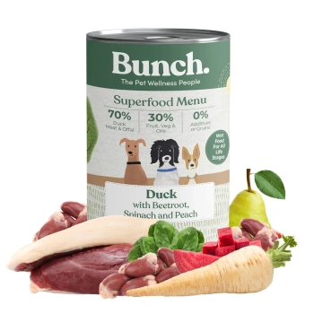 bunch-duck-01jpg.webp