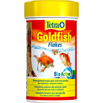 tetra_goldfish