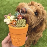 Sodapup Flower Pot toiduga täidetav mänguasi, erinevad värvid