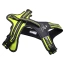 Traksid .webp